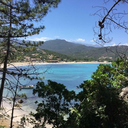 Residence Playa Del'Oro Favone Kültér fotó